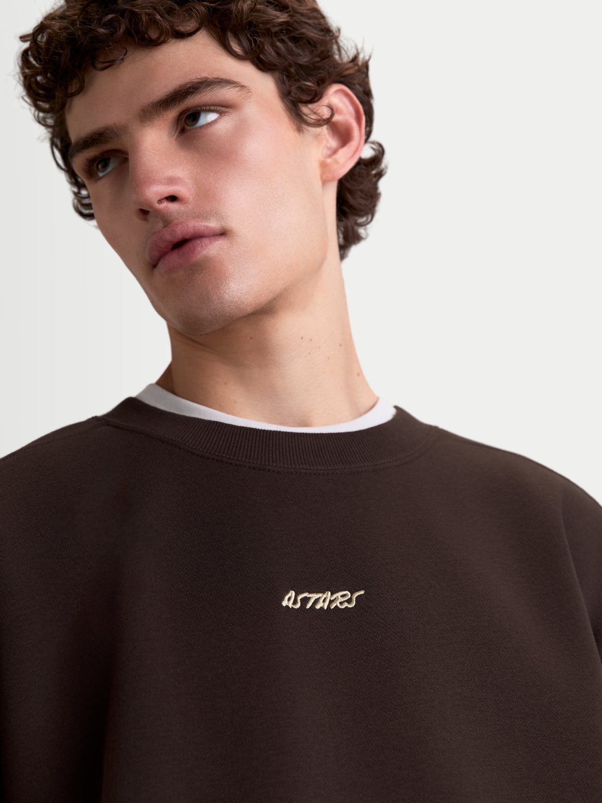 Alpinestars Guise Oversized Crew, brązowa męska bluza typu crewneck, haftowane logo Astars Word na piersi, prążkowany kołnierzyk, luźny krój oversized, casualowa odzież sportowa z polaru.