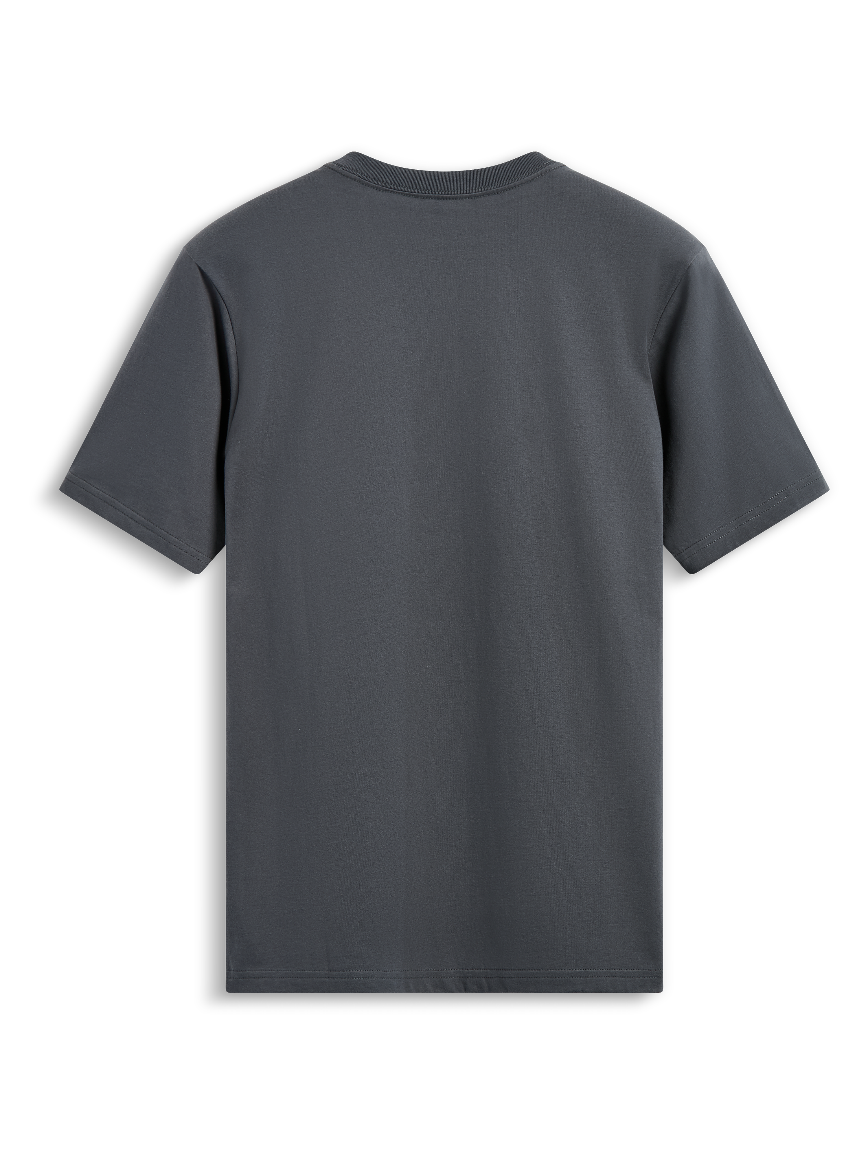 Alpinestars Waving CSF Tee, koszulka z krótkim rękawem, grafitowa, widok z tyłu, gładki tył, casualowa odzież streetwearowa inspirowana motorsportem
