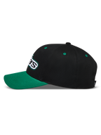 Alpinestars Retro Snapback Hat, Black and Green Sportswear Cap, side profile with curved bill and embroidered Astars logo.