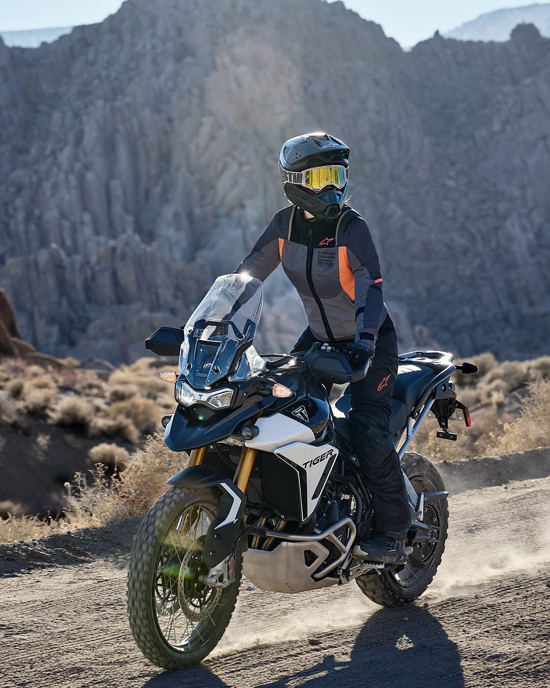 Image 68185042354554